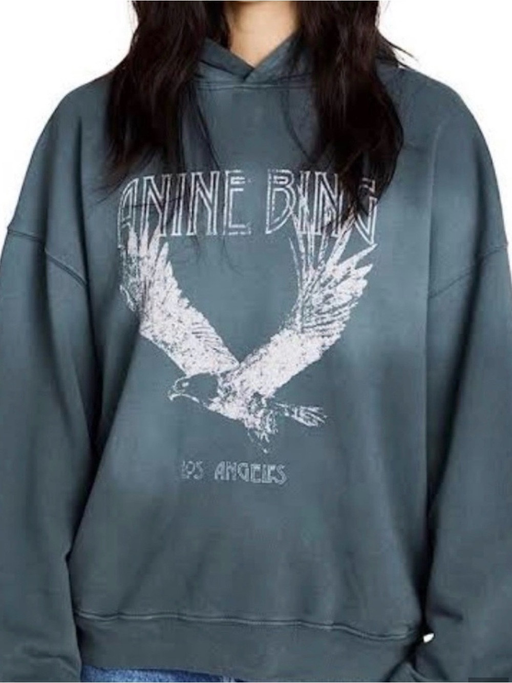 Anine Bing Eagle Graphic Hoodie